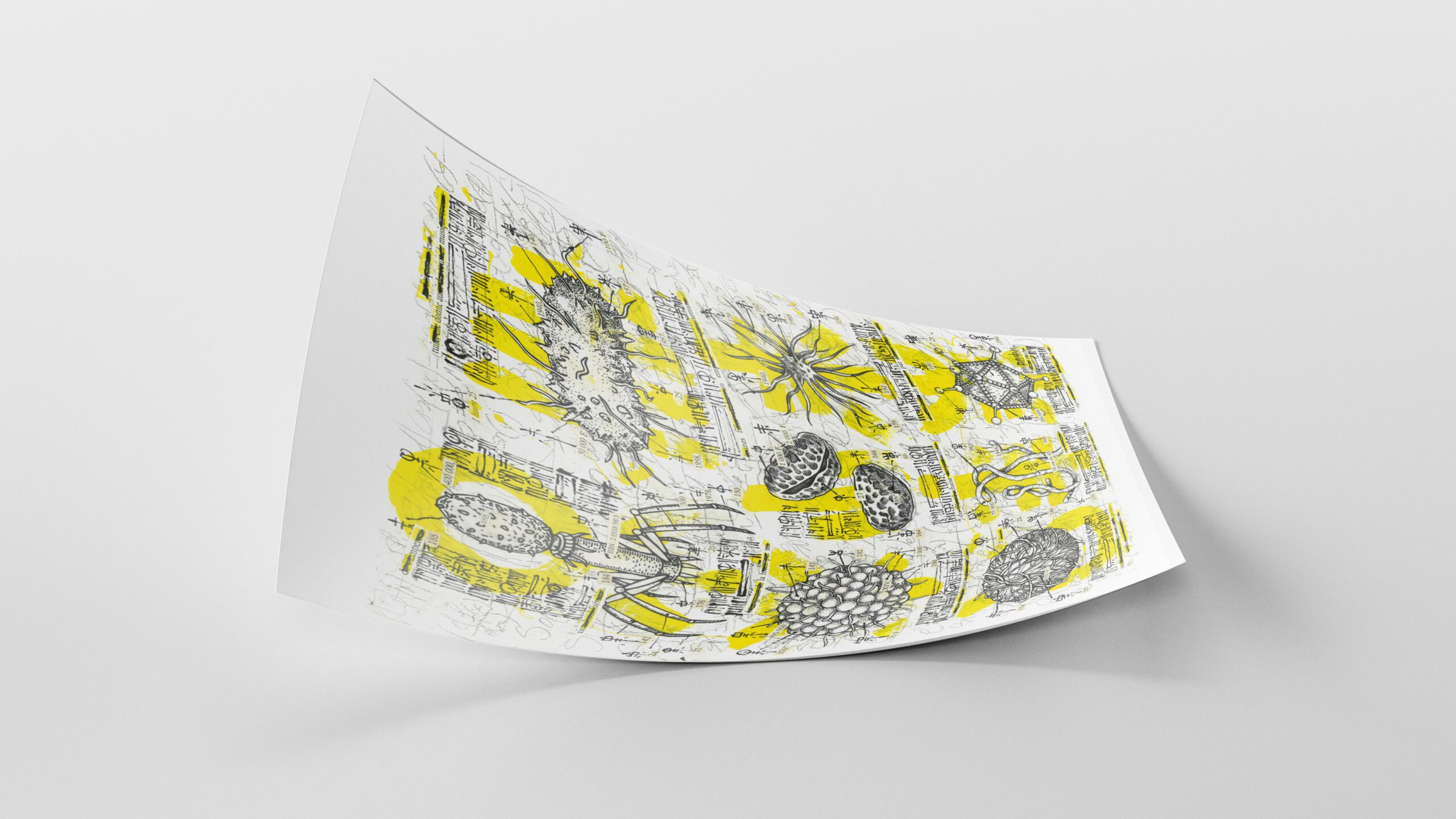 55SCRIPT_EVOLUTIONARY PERSPECTIVE 2