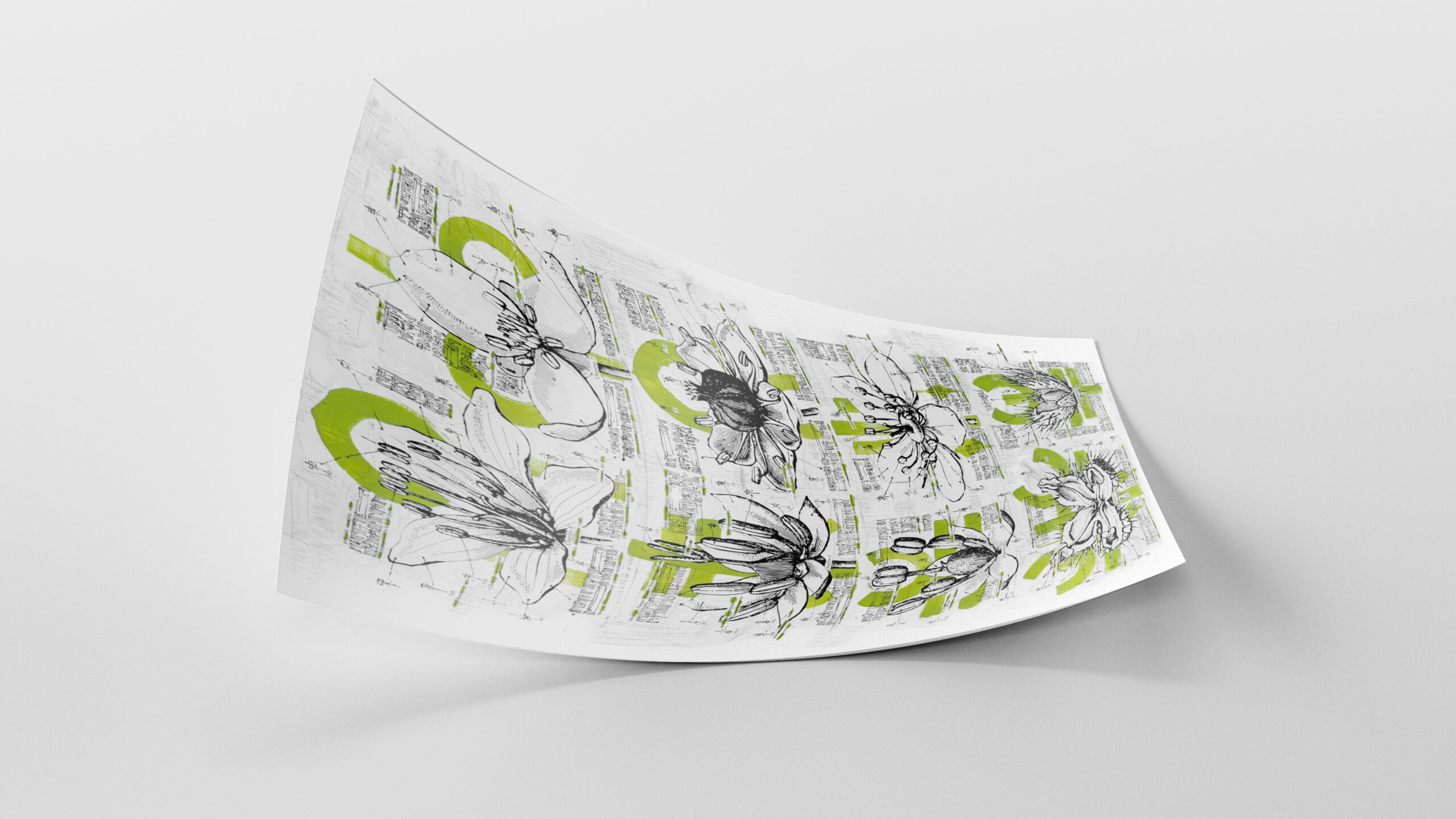 55Script_PLANT TROPISMS DISSECTION 2