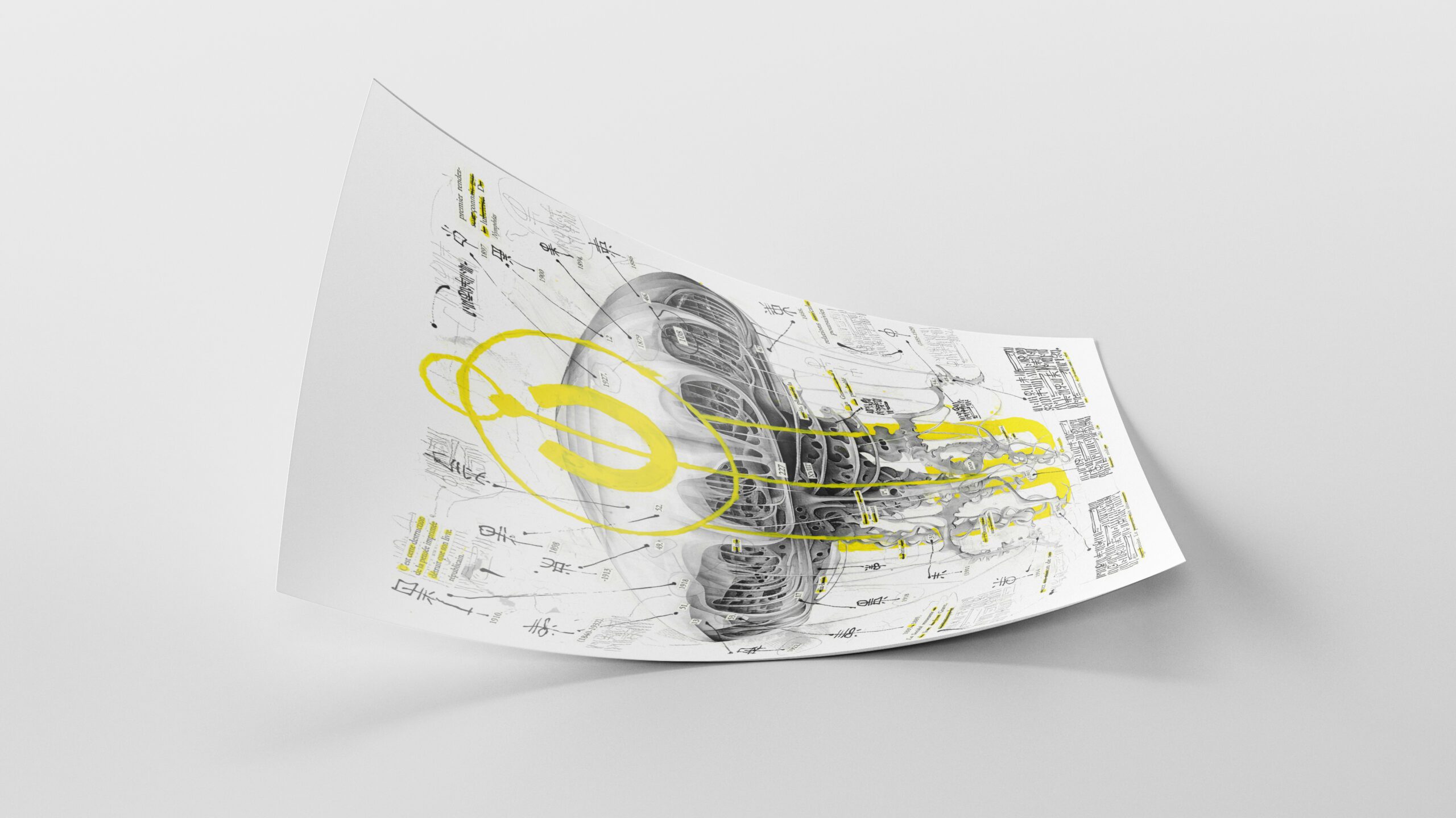 55Script_SCYPHOZOA DISSECTION 2