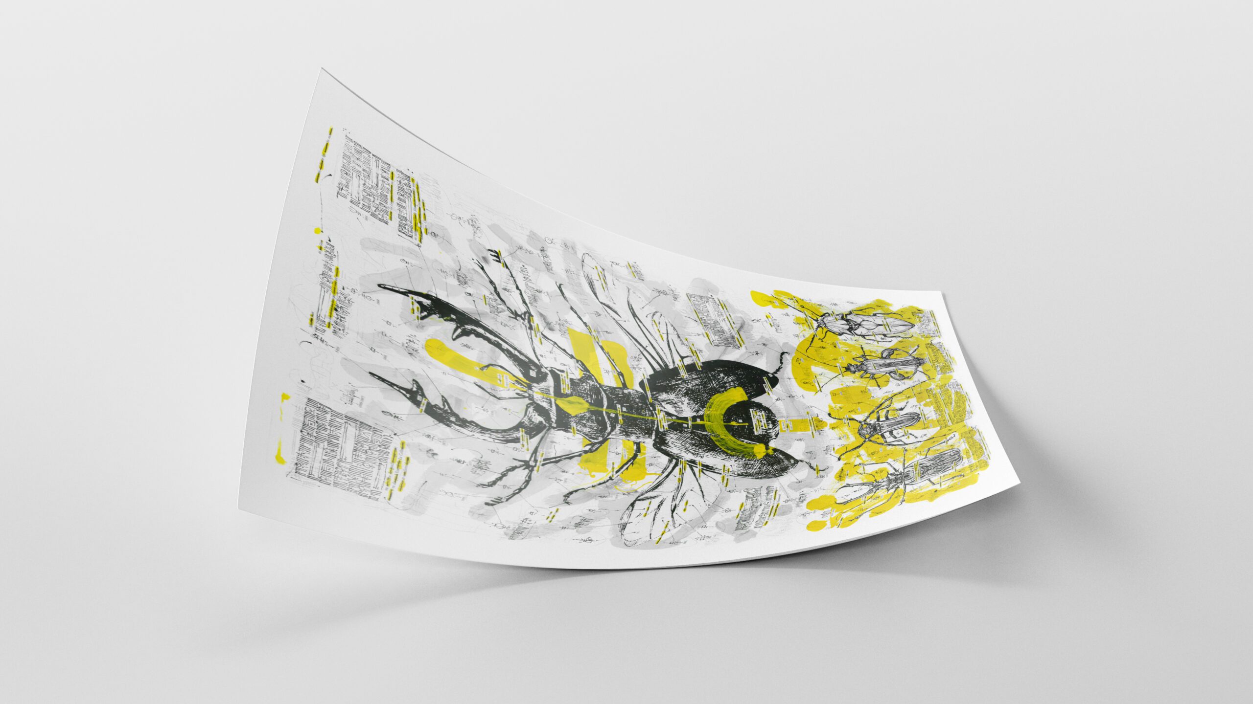 BEETLE FAMILY dissection 2